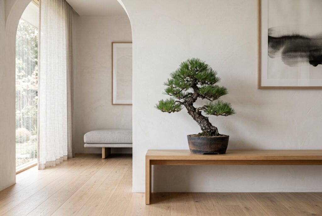 Minimalist Japandi hallway with a sculptural bonsai in a dark pot on a low wooden bench against a white wall.