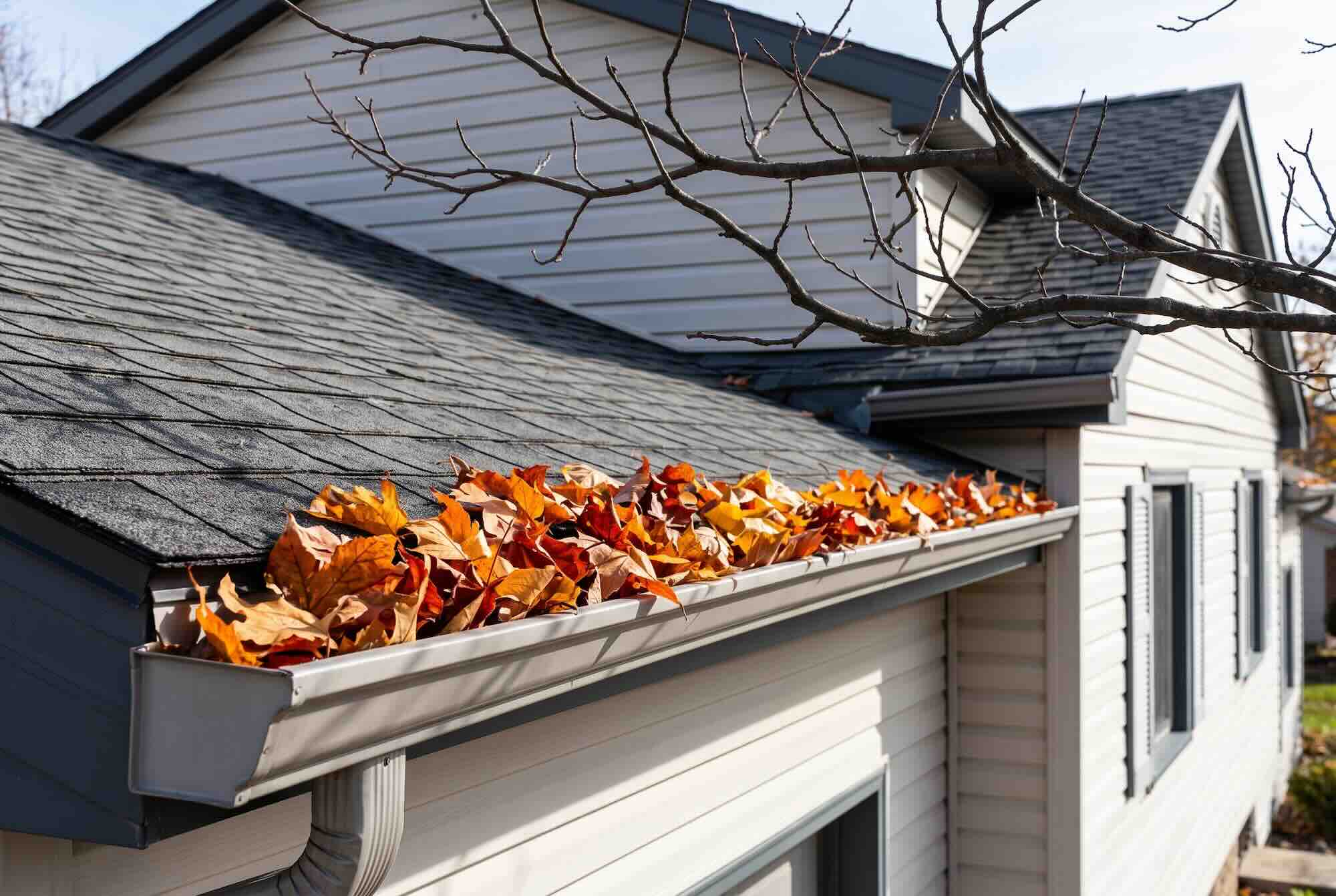 A roof gutter packed tightly with fallen red and orange autumn leaves.