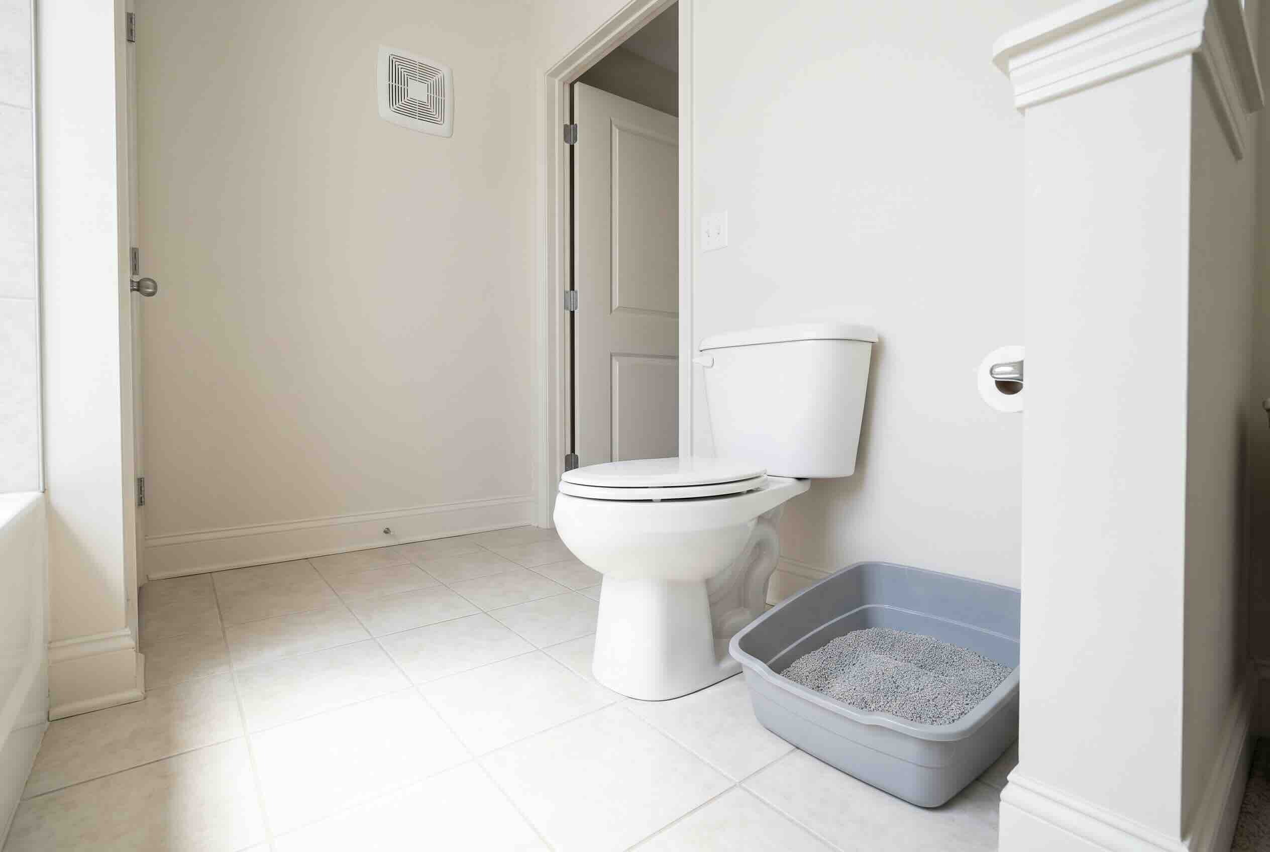 An open litter box positioned on the floor next to a white toilet in a bright bathroom.