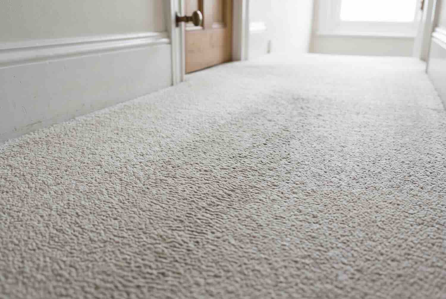 Ordinary traffic wear on a light carpet in a hallway.