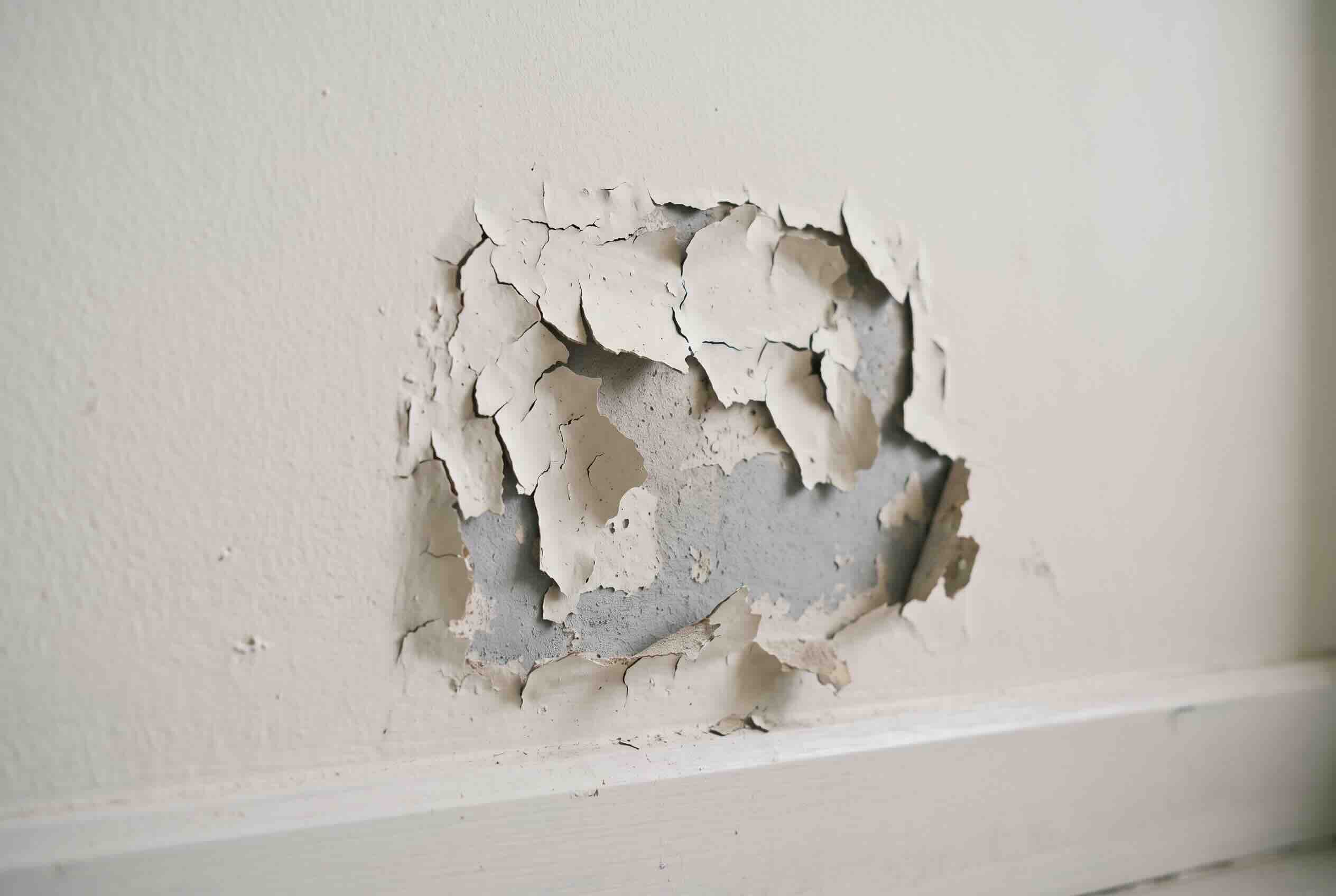Peeling and flaking paint on a wall exposing the layer underneath.