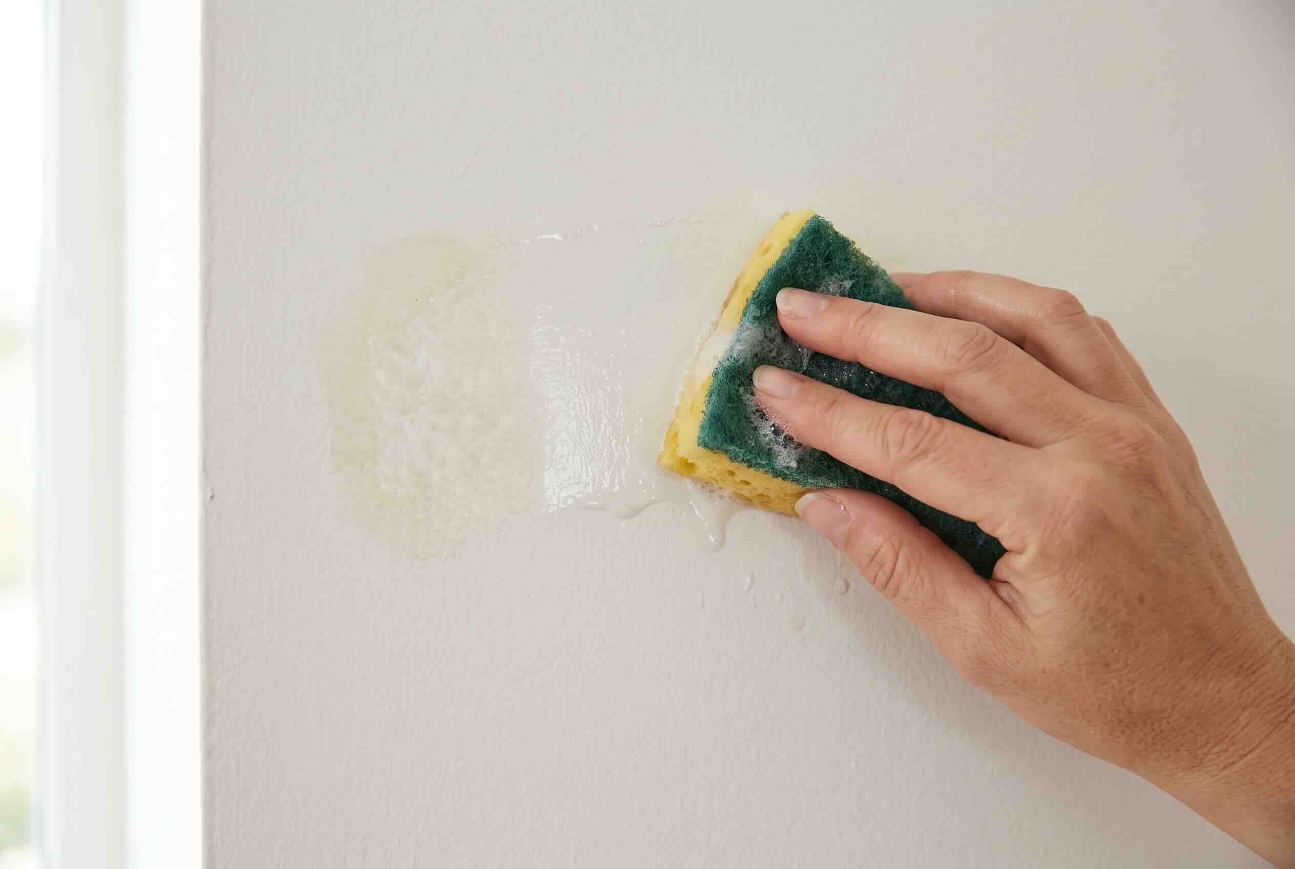 Scrubbing leftover wallpaper adhesive residue off a wall using a damp sponge.