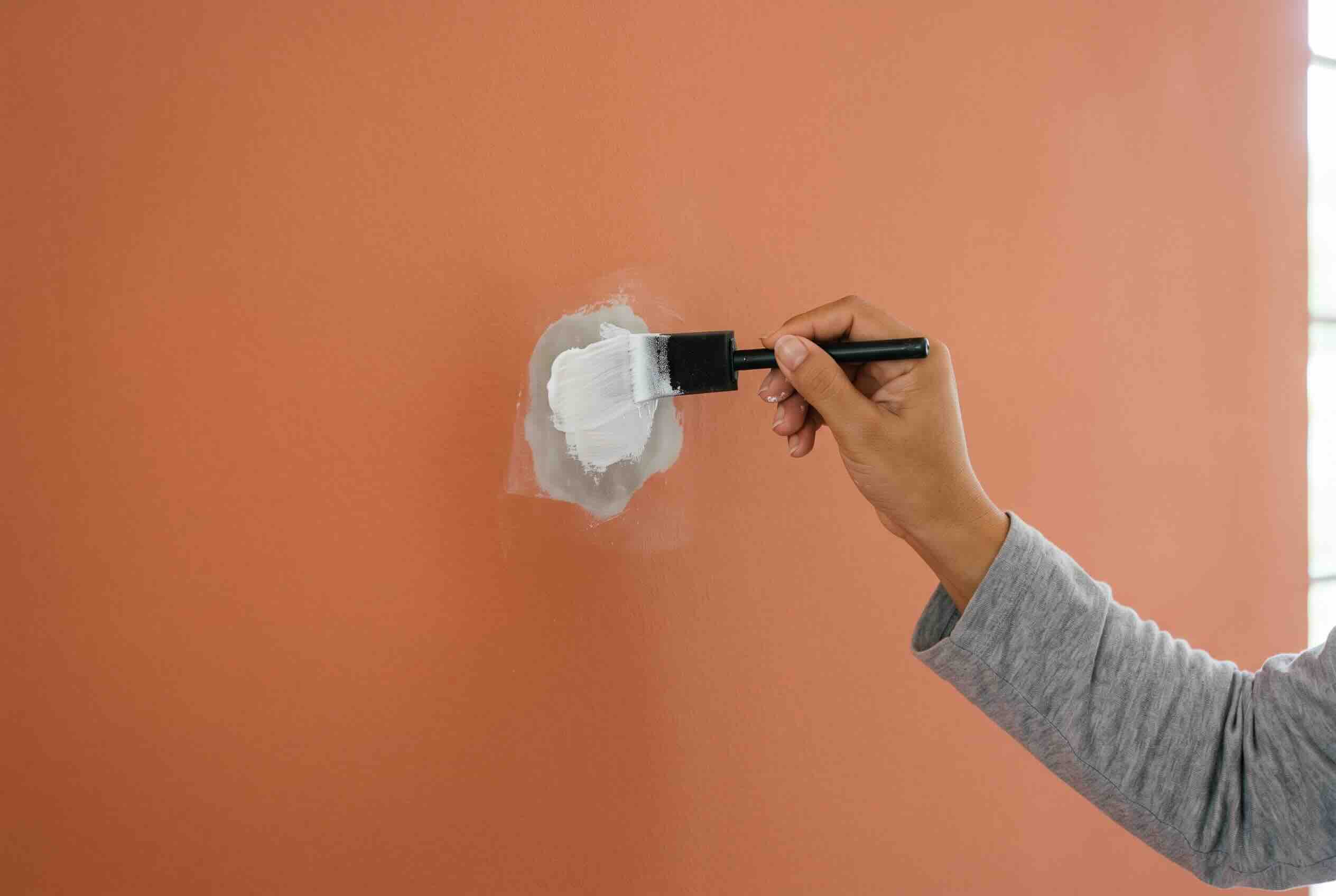 Using a foam brush to apply touch-up paint over a patched hole on a wall.