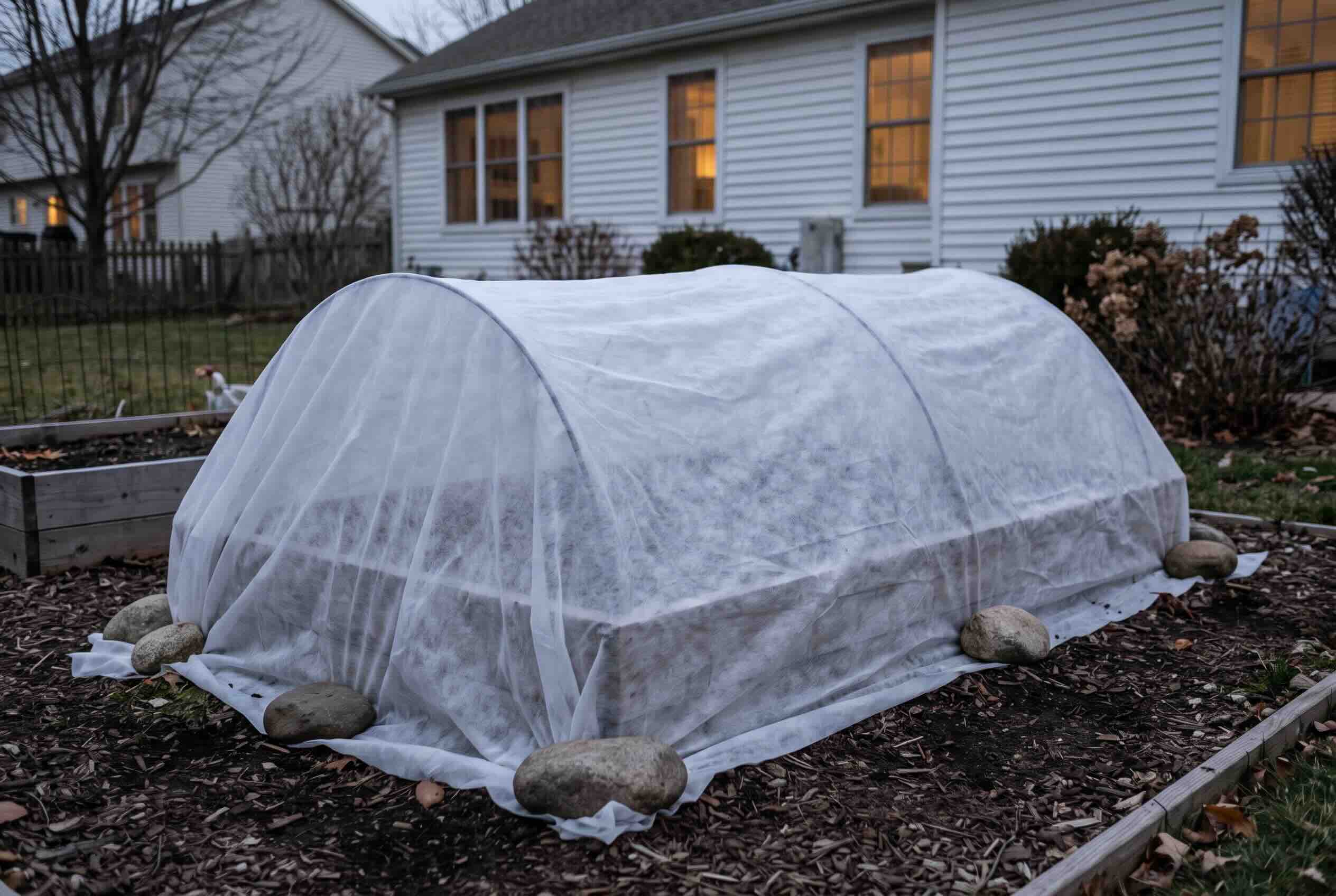 A white frost cloth draped over hoops to protect a raised garden bed in a backyard at dusk.
